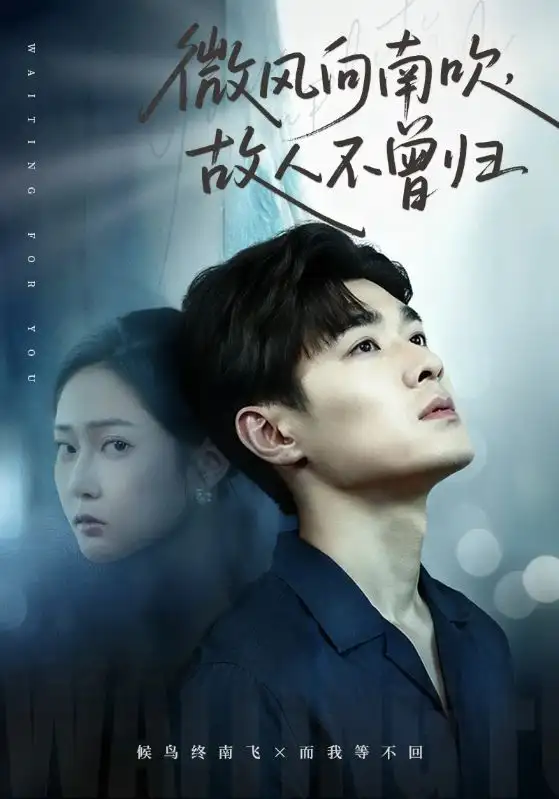 《微风向南吹故人不曾归（72集）易柏辰＆王悦洋》短剧全集免费在线看