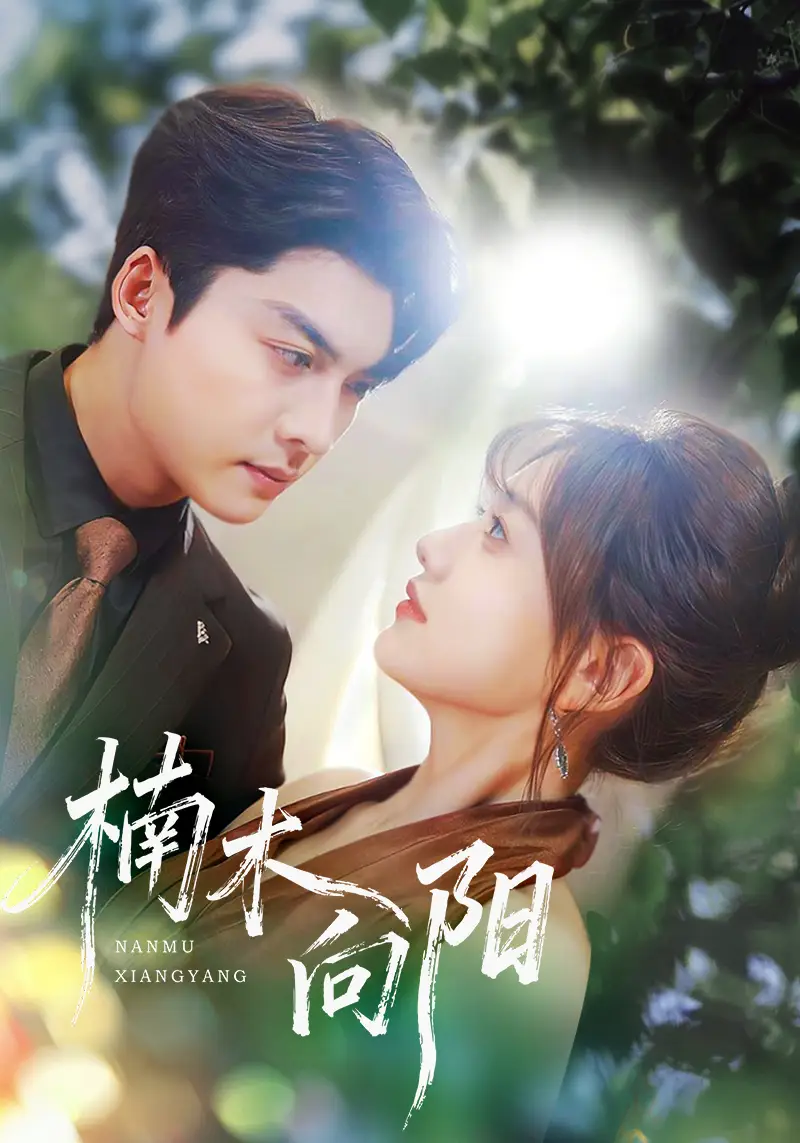 《楠木向阳（70集）》短剧全集免费在线看