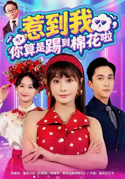 《惹到我，你算是踢到棉花啦（67集）》短剧全集免费在线看