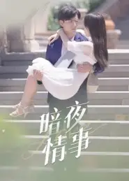 《暗夜情事(100集)》短剧全集免费在线看