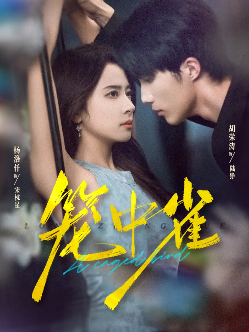 《笼中雀（65集）胡荣涛＆杨洛仟》短剧全集免费在线看