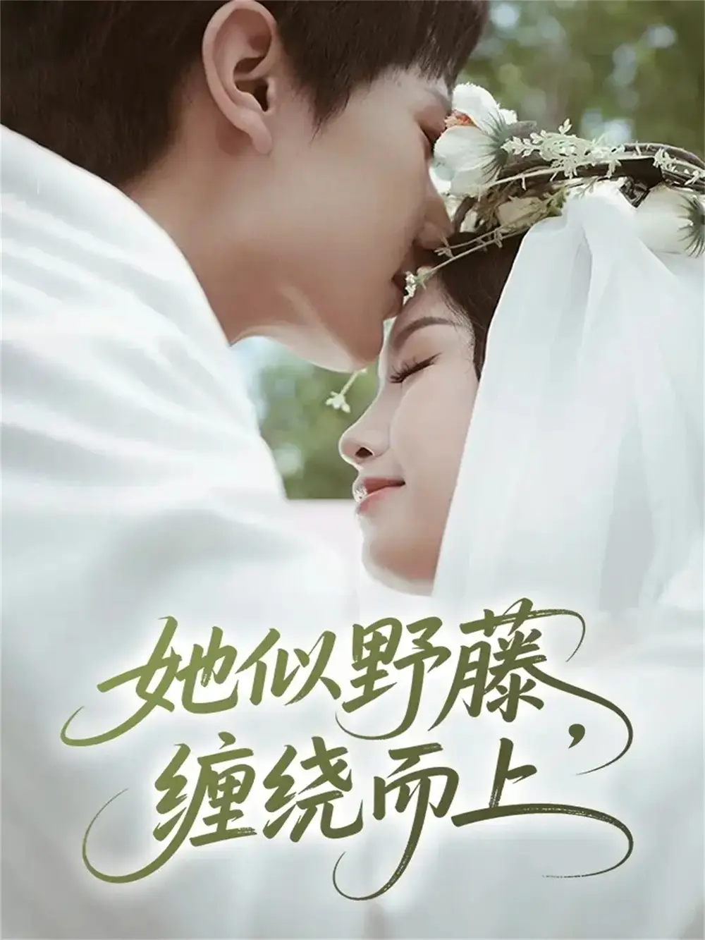 《她似野藤，缠绕而上（51集）万烽＆李文茹》短剧全集免费在线看