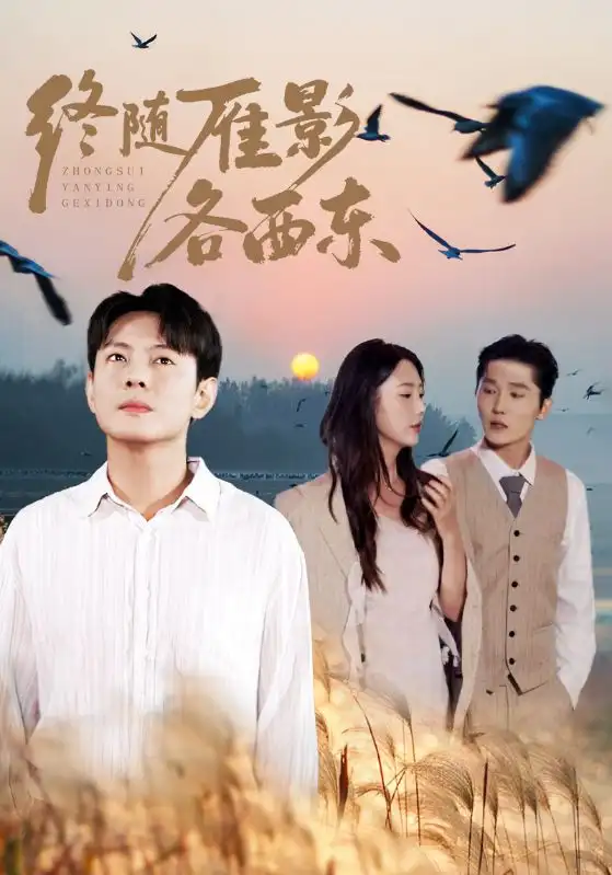 《终随雁影各西东(86集)金鑫欣&邱浩轩》短剧全集免费在线看