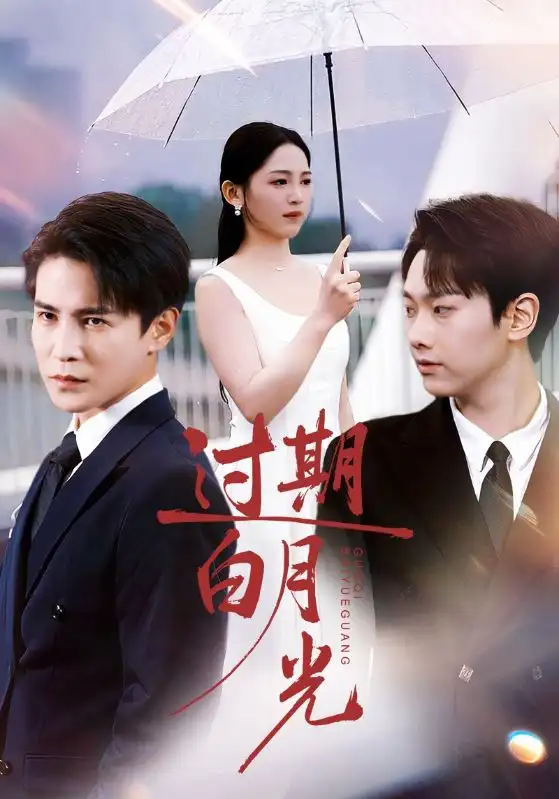 《过期白月光（80集）崔秀子&李子锋》短剧全集免费在线看