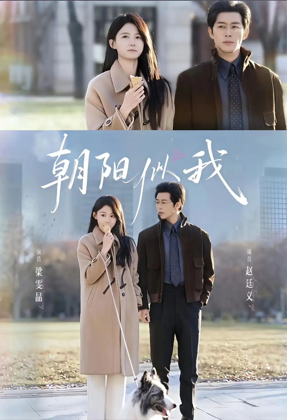 《朝阳似我(81集)赵廷义&梁雯晶》短剧全集免费在线看