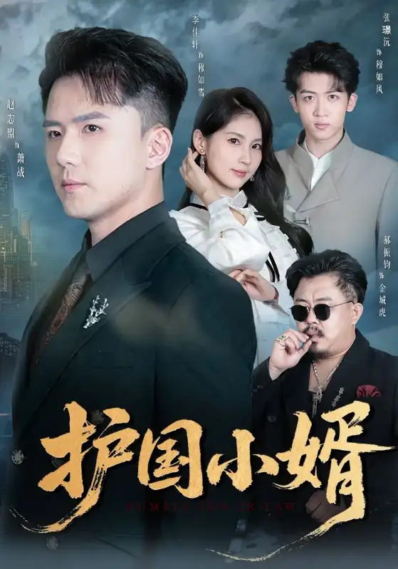 《护国小婿(60集)李佳轩&赵志盟》短剧全集免费在线看