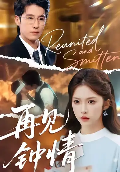 《再见钟情（100集）林枫松＆吴毅非》短剧全集免费在线看