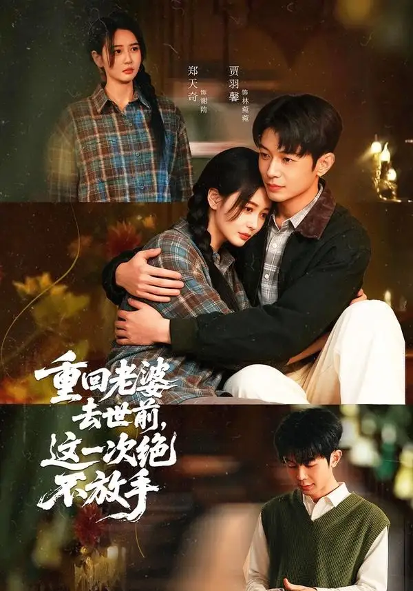 《重回老婆去世前，这一次绝不放手（80集）郑天奇＆贾羽馨》短剧全集免费在线看