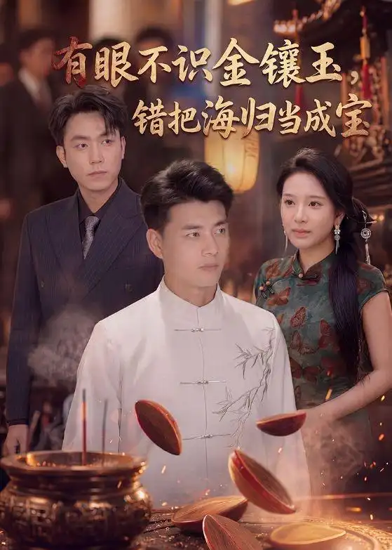 《有眼不识金镶玉错把海归当成宝(80集)李进源&华越》短剧全集免费在线看